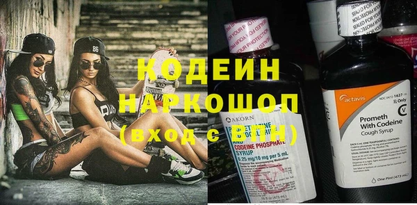 прущие крисы Инта