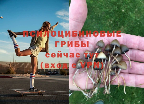 прущие крисы Инта