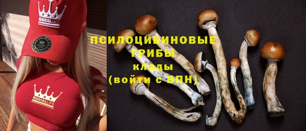 мет Иннополис